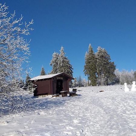 Aussicht Daire Goslar Dış mekan fotoğraf